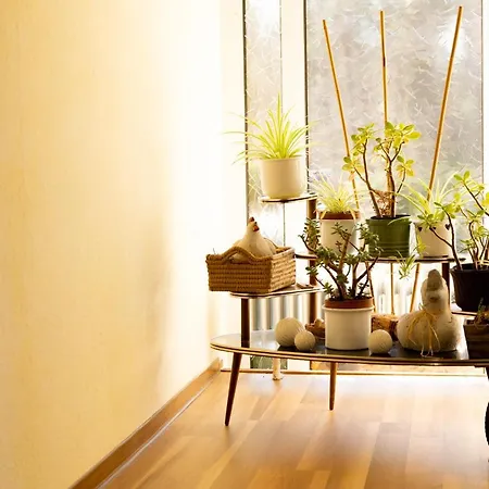 Maison d'hôtes Am Hardausee Suderburg